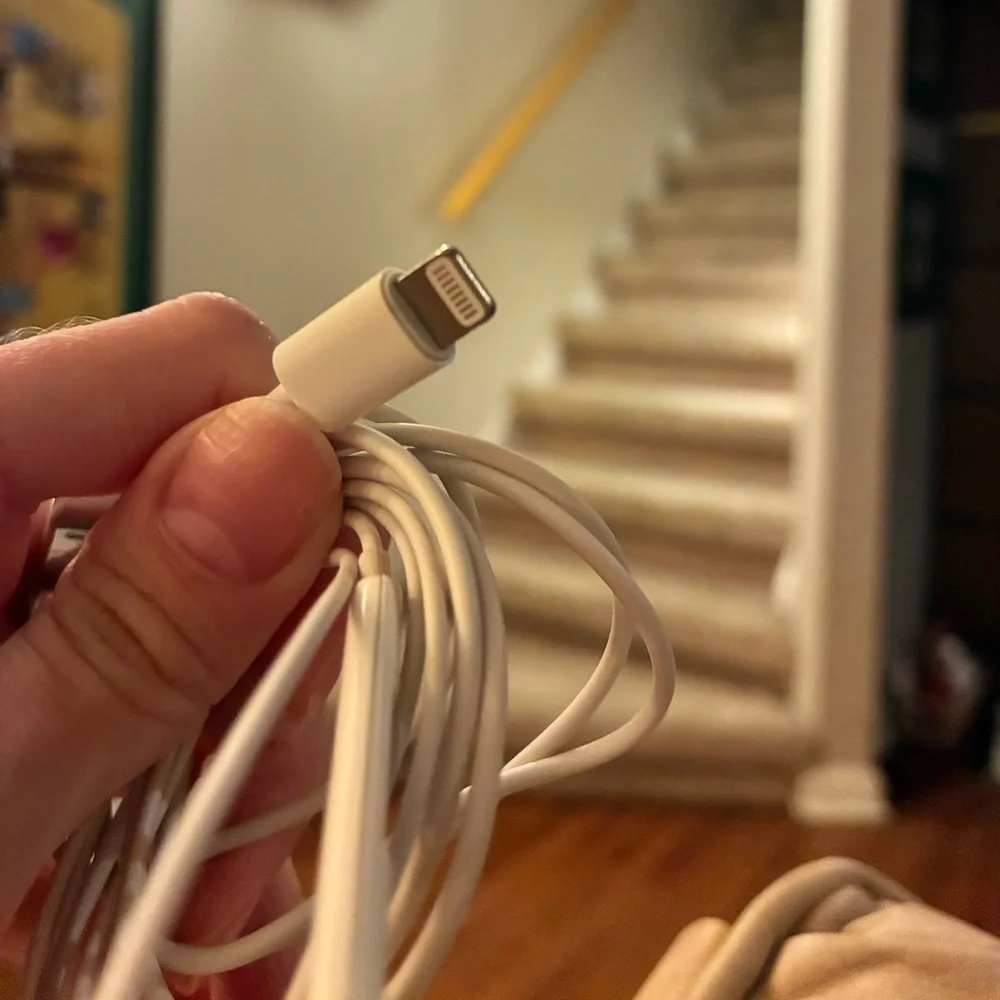 APPLE | earbuds lightening connector
